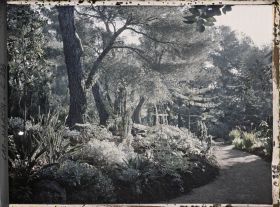 Image représentant Cap Martin Le Jardin