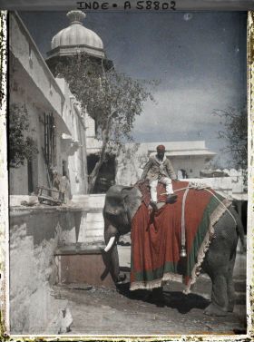 Image représentant Eléphant à l'abreuvoir