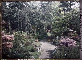 Image représentant Chemin fleuri du " sanctuaire japonais " non loin du sôrintô, menant au verger-roseraie