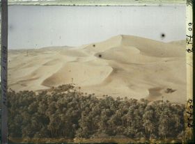 Image représentant L'oasis au pied du Grand Erg