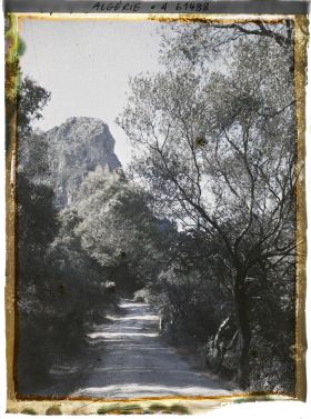 Image représentant Vue sur le djebel Gouraya