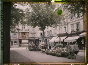 Image représentant Le marché aux fleurs et les boutiques place du Cygne