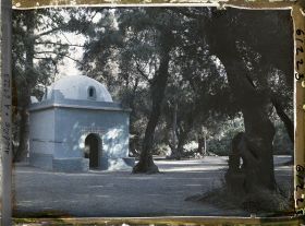 Image représentant Le sanctuaire de Sidi Yacoub dans le bois sacré