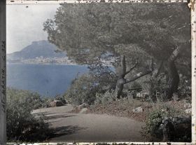 Image représentant Cap-Martin - Le Jardin