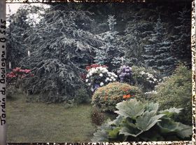 Image représentant forêt bleue et une partie du marais