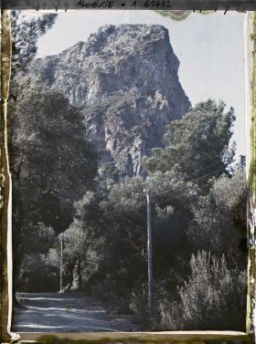 Image représentant Vue du djebel Gouraya