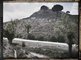 Image représentant Espagne, Aranjuez, Vue prise sur une hauteur voisine du Mirador avec des pins pommelés