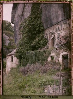 Image représentant France, à Laugerie Basse : le figuier et le lierre collés à la paroi