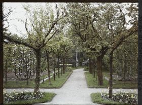 Image représentant Allée verdoyante du verger-roseraie, entre le rond-point proche du jardin français et la forêt bleue