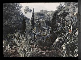 Image représentant Partie du jardin comprise entre Dunur (sic) et Miramar