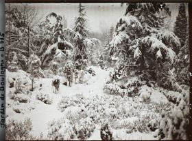 Image représentant Espace arboré du " sanctuaire japonais " sous la neige avec une allée menant au " village japonais "