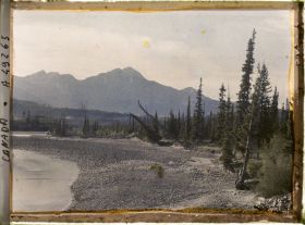 Image représentant Canada, Jasper-Parc, Paysage s/ les rives de l'Athabasca