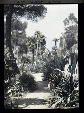 Image représentant le Jardin