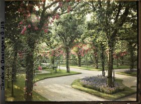 Image représentant Coin du verger-roseraie vu vers le nord-ouest, depuis le rond-point proche du jardin français