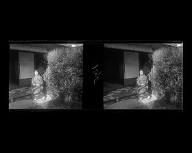 Image représentant Une geisha