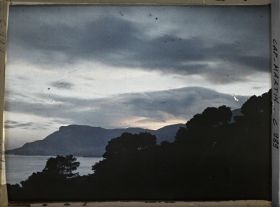 Image représentant Ligne d'arbres vue à contre-jour, en direction de Monaco, non loin de la villa Kahn dite villa Zamir