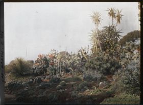 Image représentant Cap Martin Le Jardin