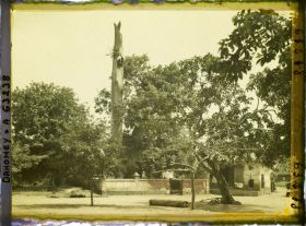 Image représentant Un chronoxyle d'Iroko (ou milicia exclesa) sacré ou arbre fétiche