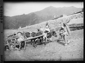 Image représentant paysans poussant une charrette tirée par des boeux, peut-être aux environs de Wanquan