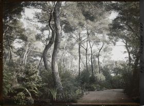 Image représentant Une allée du jardin