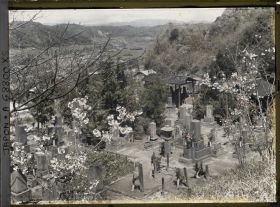 Image représentant Le cimetière (peut-être celui du quartier Kagoshimasômuta) près de la colline Shiroyama