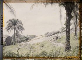 Image représentant Piège à panthère dans une palmeraie en montagne