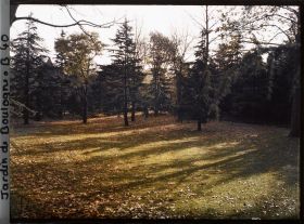 Image représentant La Grande Pelouse, vue en direction du verger-roseraie