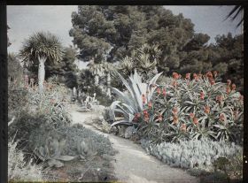 Image représentant Cap Martin Le Jardin