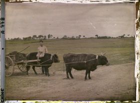 Image représentant Dans les champs