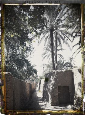 Image représentant Jardins enclos de l'oasis