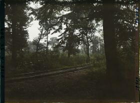 Image représentant France, Forêt de Compiègne, Carrefour de l'Armistice, emplacement du train des Plénipotentiaires Allemands