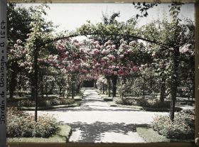 Image représentant Axe central du verger-roseraie vu vers la dépendance, à l'approche du rond-point côté jardin français