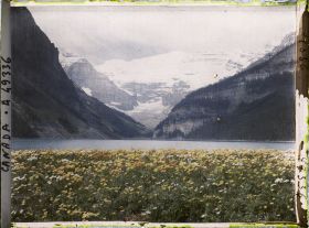 Image représentant Canada, Lac Louise, Vue vers le Glacier Victoria et fleurs de montagne