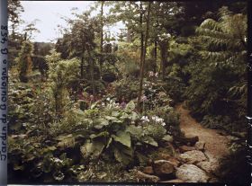 Image représentant Étroit chemin menant au sôrintô, longeant une coulée de verdure du " sanctuaire japonais "