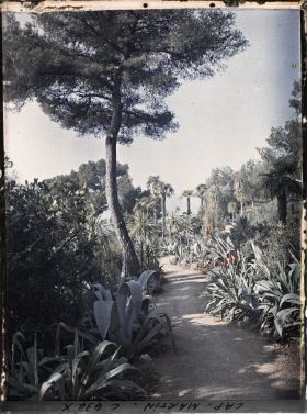 Image représentant Cap Martin Le Jardin