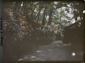 Image représentant paysage Arashiyama