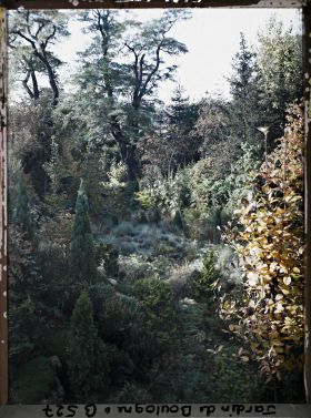 Image représentant Rocaille en pente du " sanctuaire japonais " ponctuée de conifères