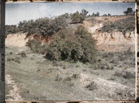 Image représentant Espagne, d'Astorga à Léon, Steppe de Vieille Castille avec, au dernier plan, oliviers sauvages.