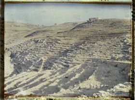 Image représentant Cultures en terrasse