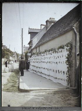 Image représentant Un drap fleuri, décor pour la procession de la Fête-Dieu