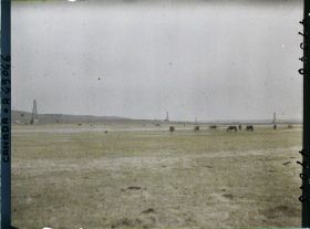Image représentant Canada, Foot Hills Turner Valley, 50 Milles de Calgary, Turner Valley - La plaine avec Chevaux au paturage et 5 puits en forage