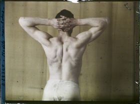 Image représentant Modèle musculature
