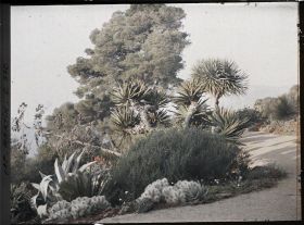 Image représentant Une allée du jardin