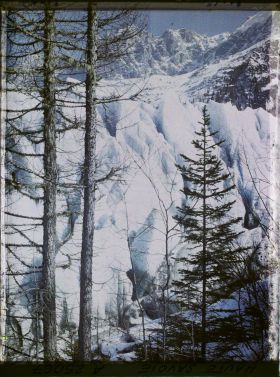 Image représentant France Les Alpes, Les Bossons, Glacier des Bossons, les aiges du Glacier des Bossons à travers les arbres et Aige du Plan