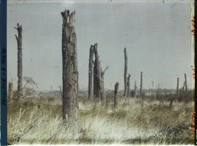 Image représentant Le parc du château