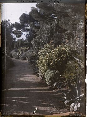 Image représentant Une allée dans le jardin