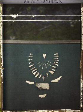 Image représentant Collier de dents et propulseur