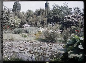Image représentant Les " étangs " du marais vus en direction du nord-ouest, depuis un gunnera situé sur la berge est
