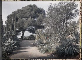 Image représentant Cap Martin Le Jardin