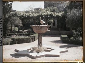 Image représentant Cigogne sur une vasque du jardin de la madrasa dans la casbah des Oudaïa